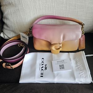 Ombre Coach Tabby 18